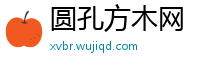 圆孔方木网